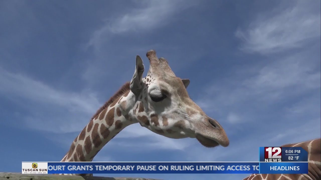 Hovatter's Wildlife Zoo opens for the season