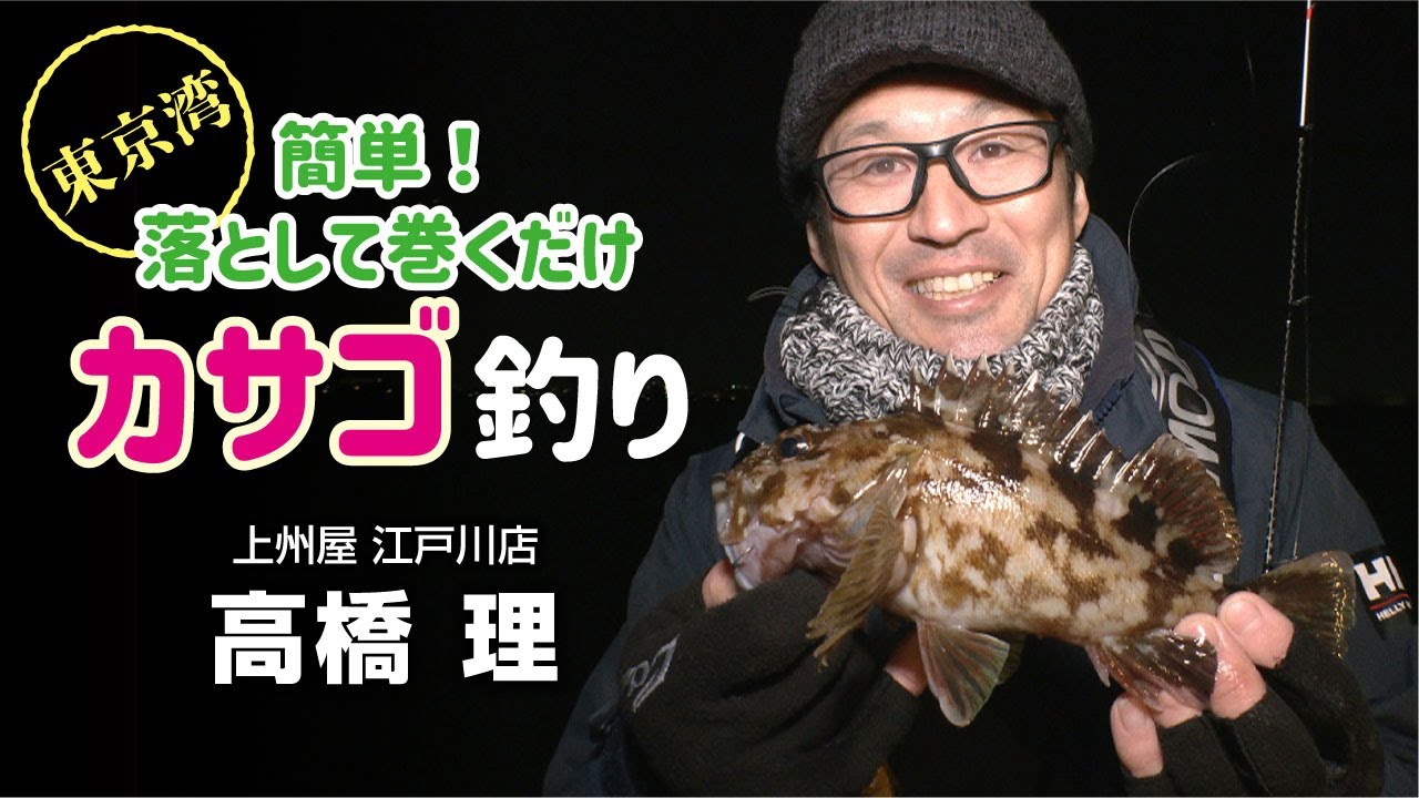 簡単！落として巻くだけ・東京湾カサゴ釣り