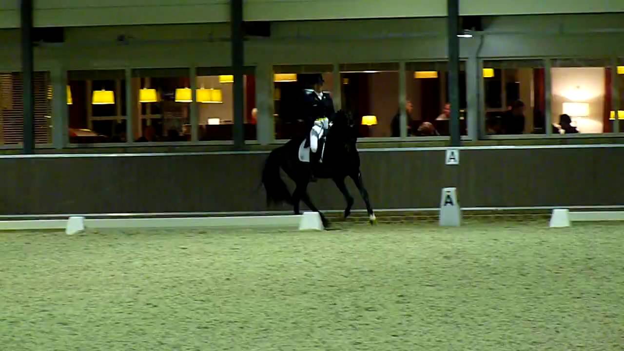 dressuurDVD.nl presents: Joyce Heuitink & Wup @ Assen Lichte Tour