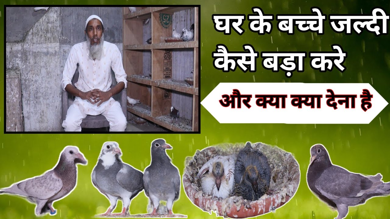 घर के बच्चे जल्दी कैसे बड़ा करे 