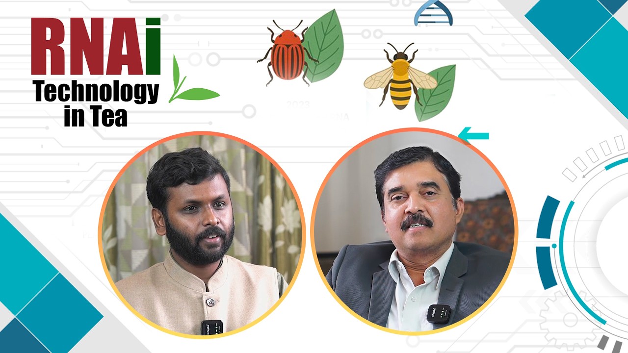 Next-Generation Pest Management in Tea: The Promise of RNAi Technology (Ep.23)