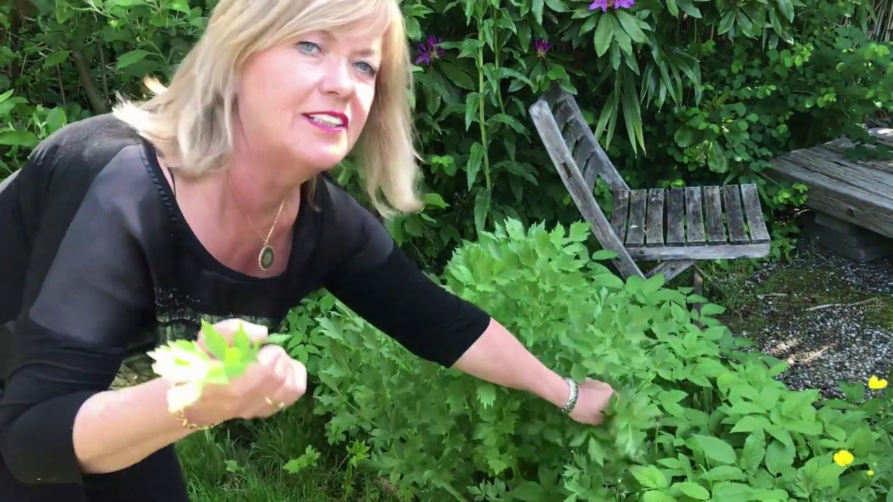 Courgettesoep met boursin met verse kruiden | Kookvlog 1