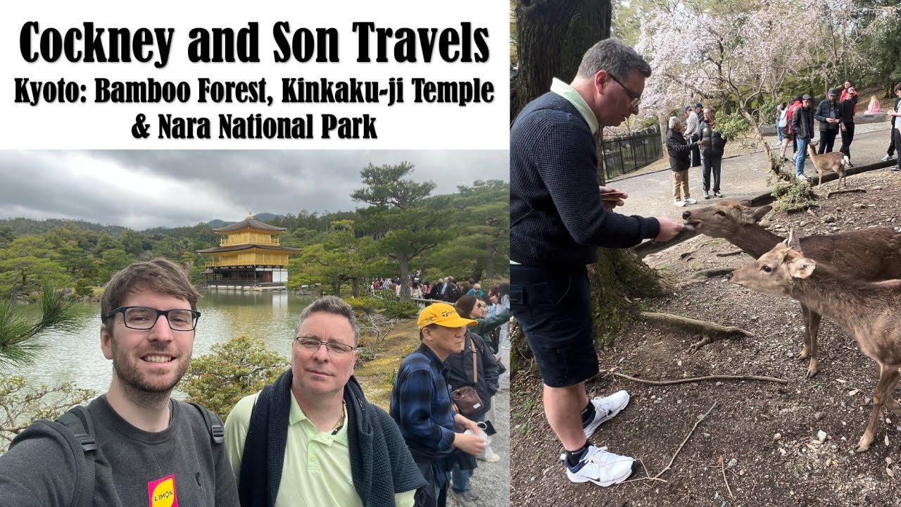 Kyoto Vlog - Featuring Bamboo Forest, Kinkaku-ji Temple & Nara National Park (with bowing deer!)