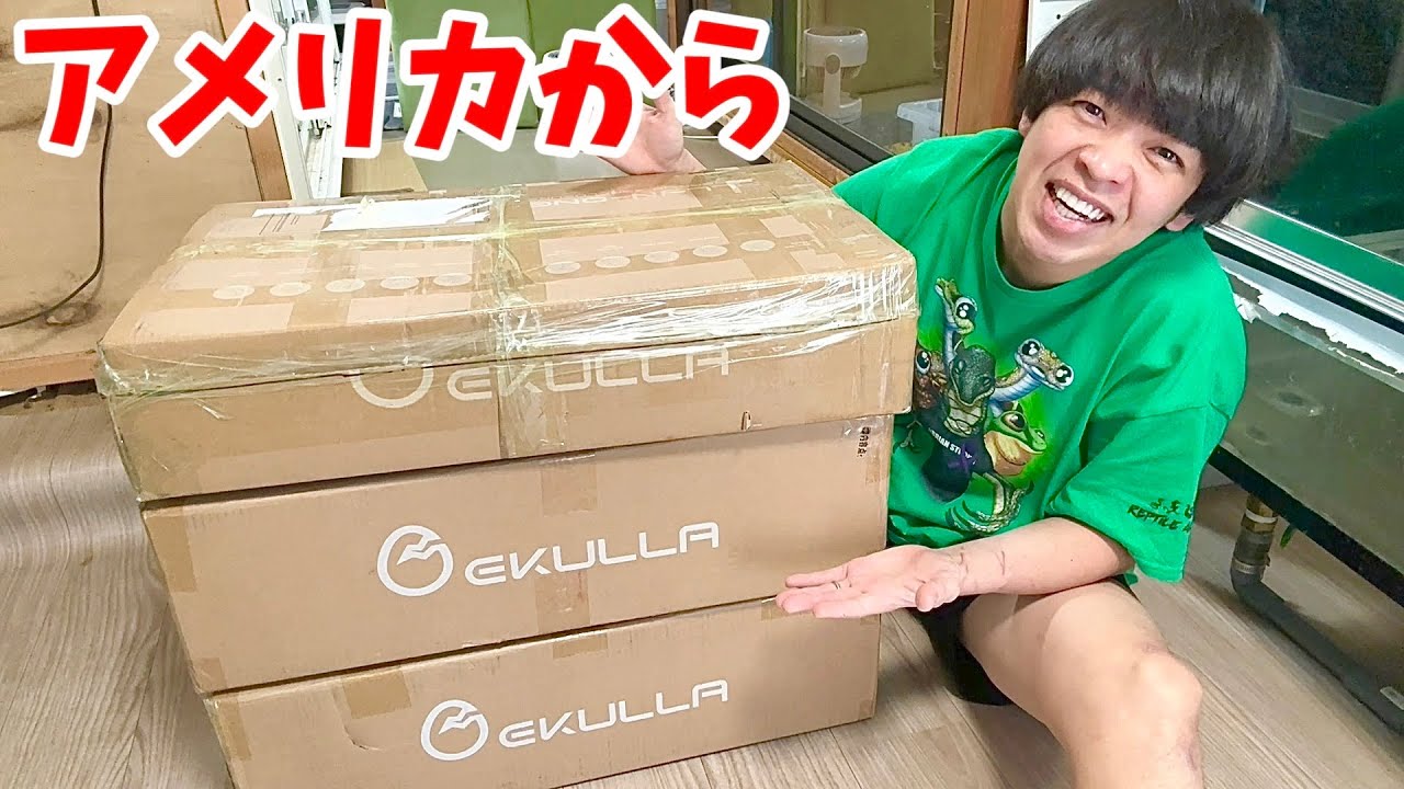 世界で４つの賞を受賞した最新の爬虫類ケージが届いたので開封してみたら...革命が起きていました
