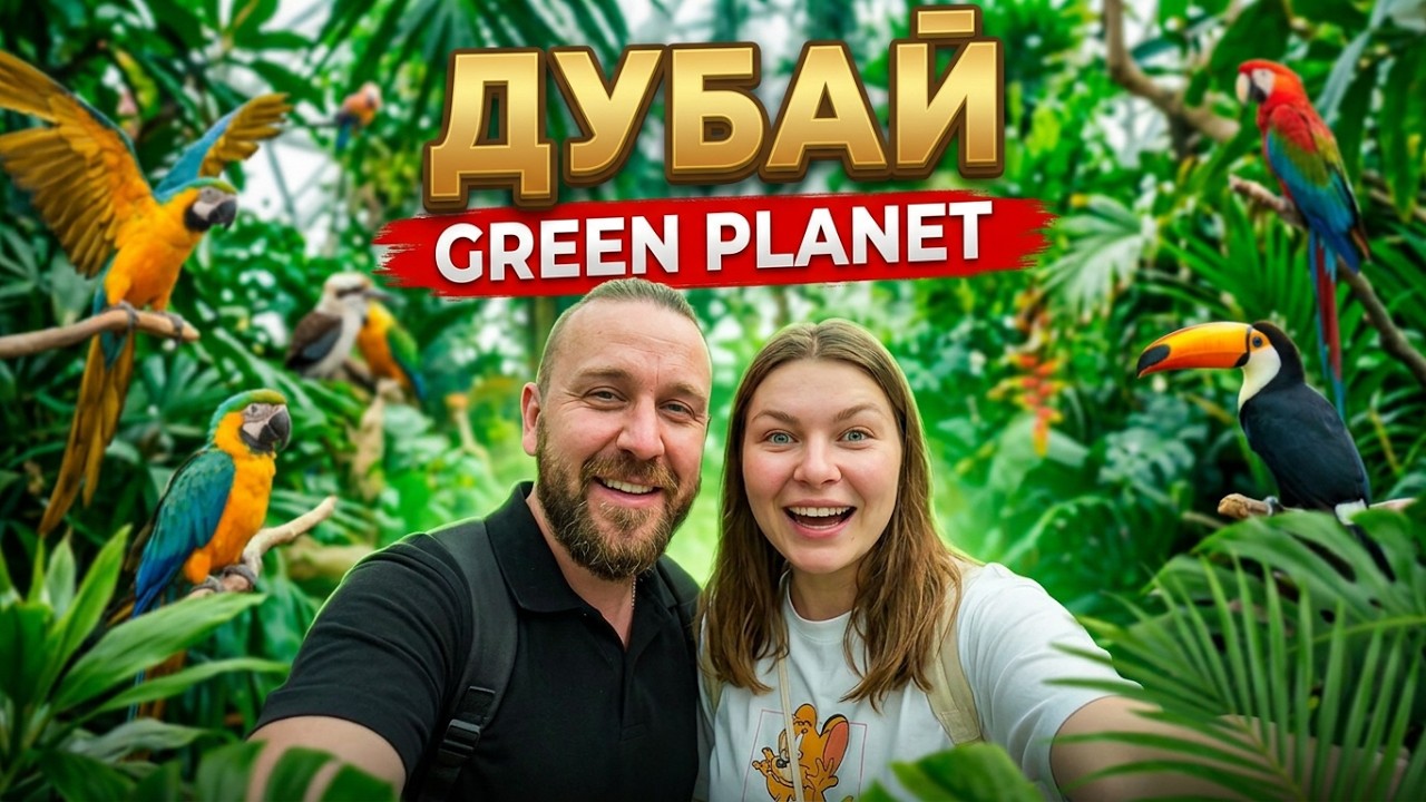 Самое высокое колесо обозрения в мире/Green Planet/Цены на экскурсии/Дубай 2026
