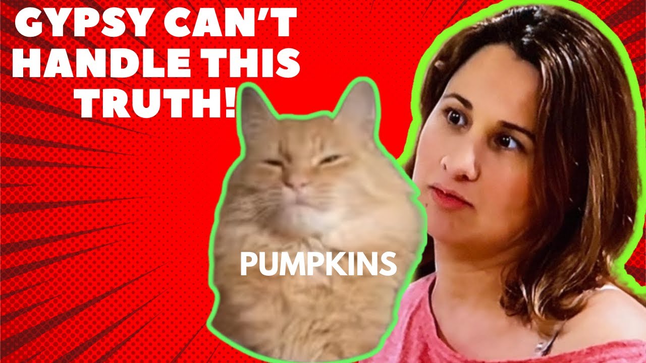 Gypsy Can't Handle This Truth!