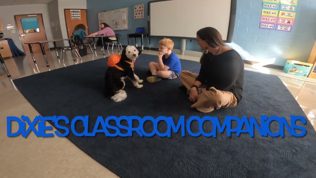 Dixie's Classroom Companions