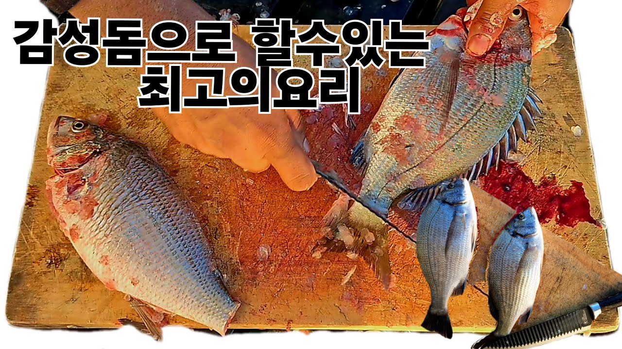 감성돔 요리의 끝판왕 꼭한번 이렇게 요리해 드 셔보세요. 😋😋😋#낚시 #fishing #남해군 #남해 #바다 #감성돔낚시#seafood #korean #cooking #바다 