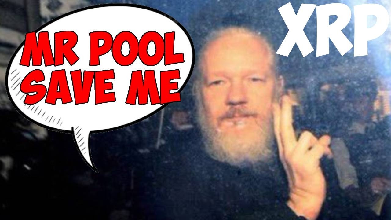 Ripple XRP MR POOL CONFIRMED JULIAN ASSANGE MASSIVE LEAKS NEXT WEEK AI WORRIES TRUMP REPRICING INC!