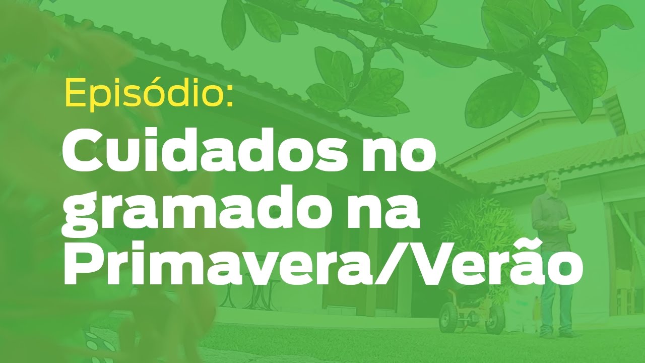 Como manter o gramado na primavera/verão?