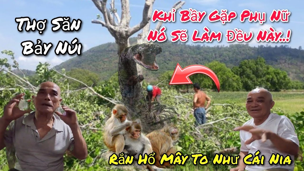 Sự thật rợn người về 