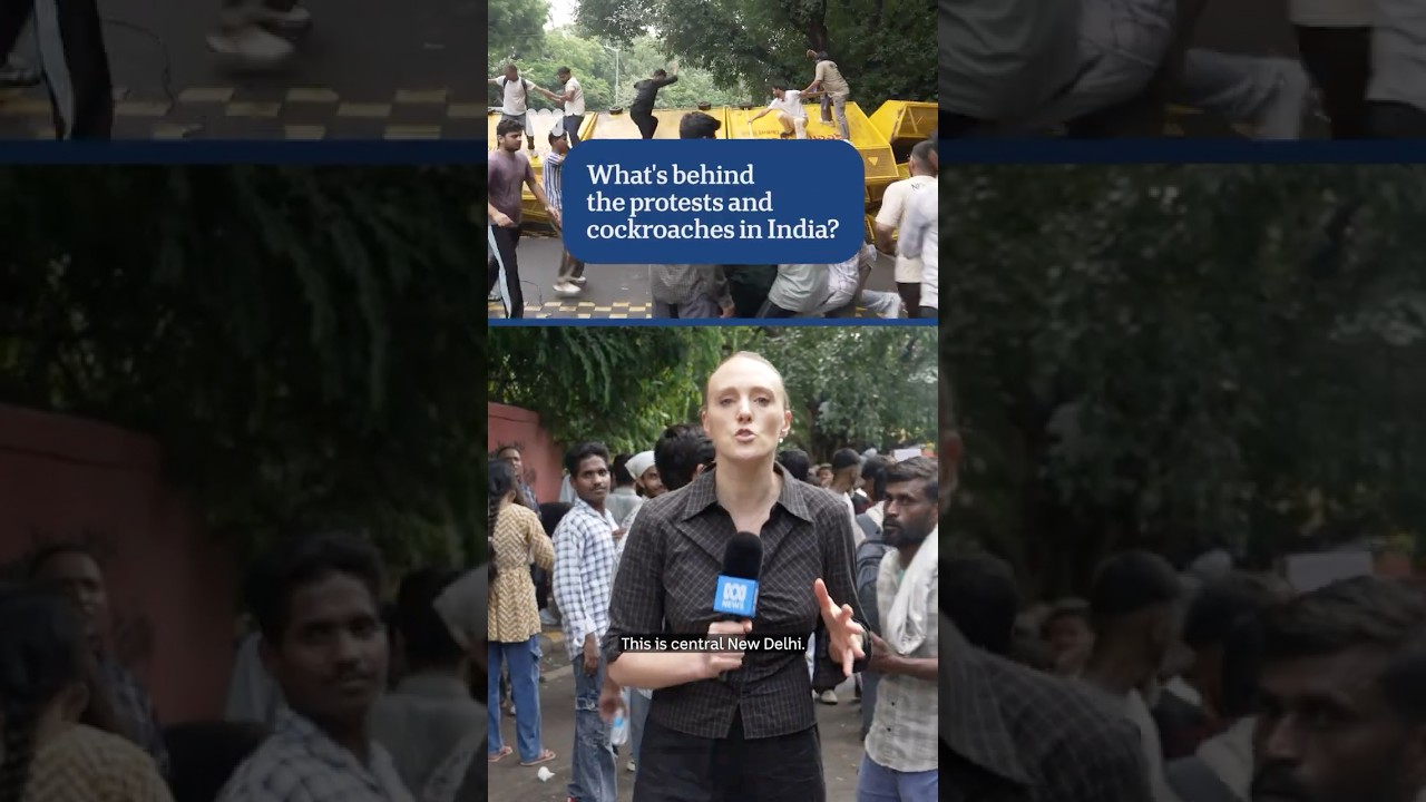 What's behind the protests and cockroaches in India? | ABC NEWS