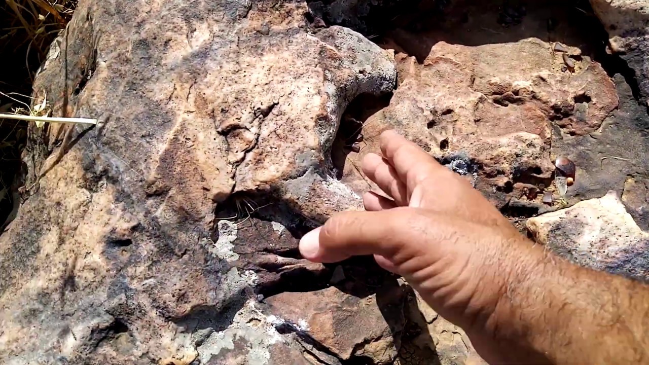 كيف تصبح محترف اسياخ في العمل الميداني حلقة ميدانية وفحص على ذهب  وفحص مباشر