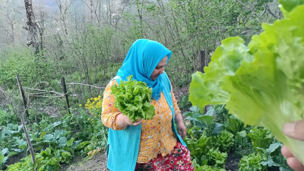 PAZARIMIZI TEMİZLEMEYE BAŞLADIK MAHSÜLLERİMİZİ GÖREN SERADAN SANIYOR