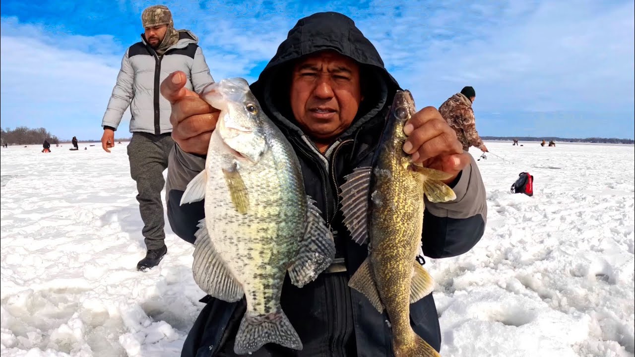 Walleye. Últimas pesca sobre hielo. Se está descongelando y se activó la pesca