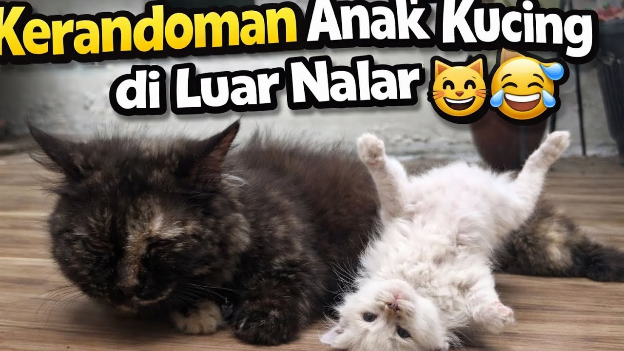 KUMPULAN LAGU NOSTALGIA POP & SLOW ROCK | LAGU LAWAS INDONESIA TERBAIK