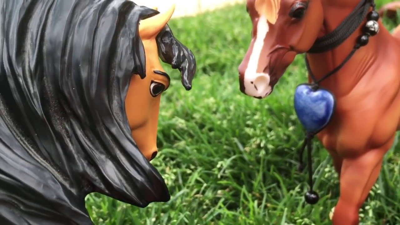 Breyer - The Bachelor