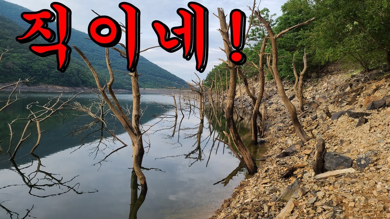[배스낚시] 그림같은곳 다녀왔습니다.  #배스 #가물치  #빅베왜함?