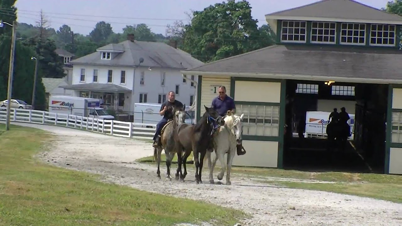 Hanover Shoe Farms-2009 Yearling Sales Prep.