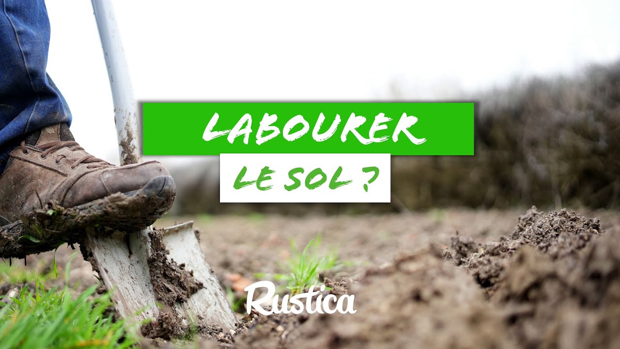 Faut-il labourer le sol du potager ?