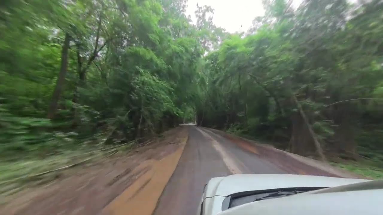 Nallamala forest