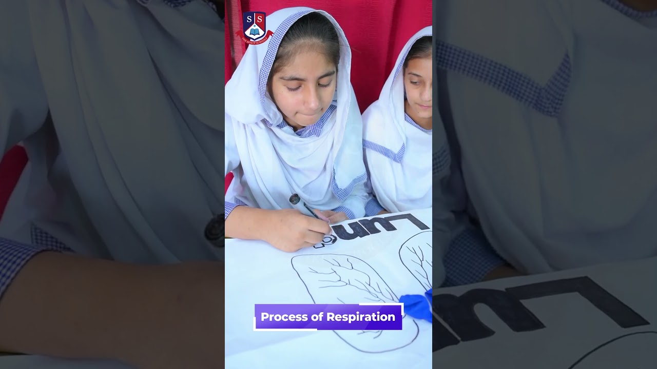 Science in Action! Class 6 & 7 Respiration Project | TSS Arifwala #school#activity #2025
