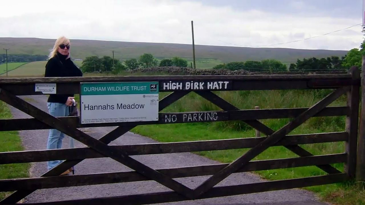 HANNAH HAUXWELL, LOW BIRK HATT FARM AND HANNAHS MEADOW JUNE 2009