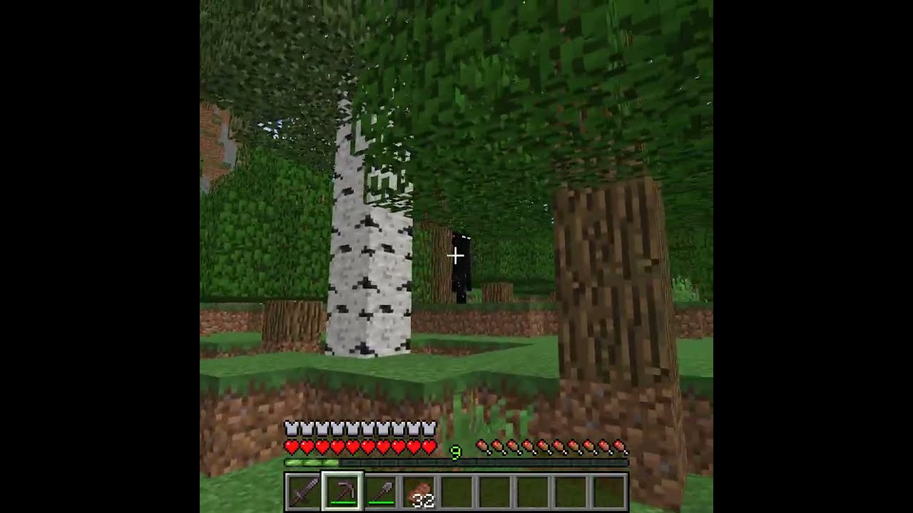 How To Kill An Enderman Safely