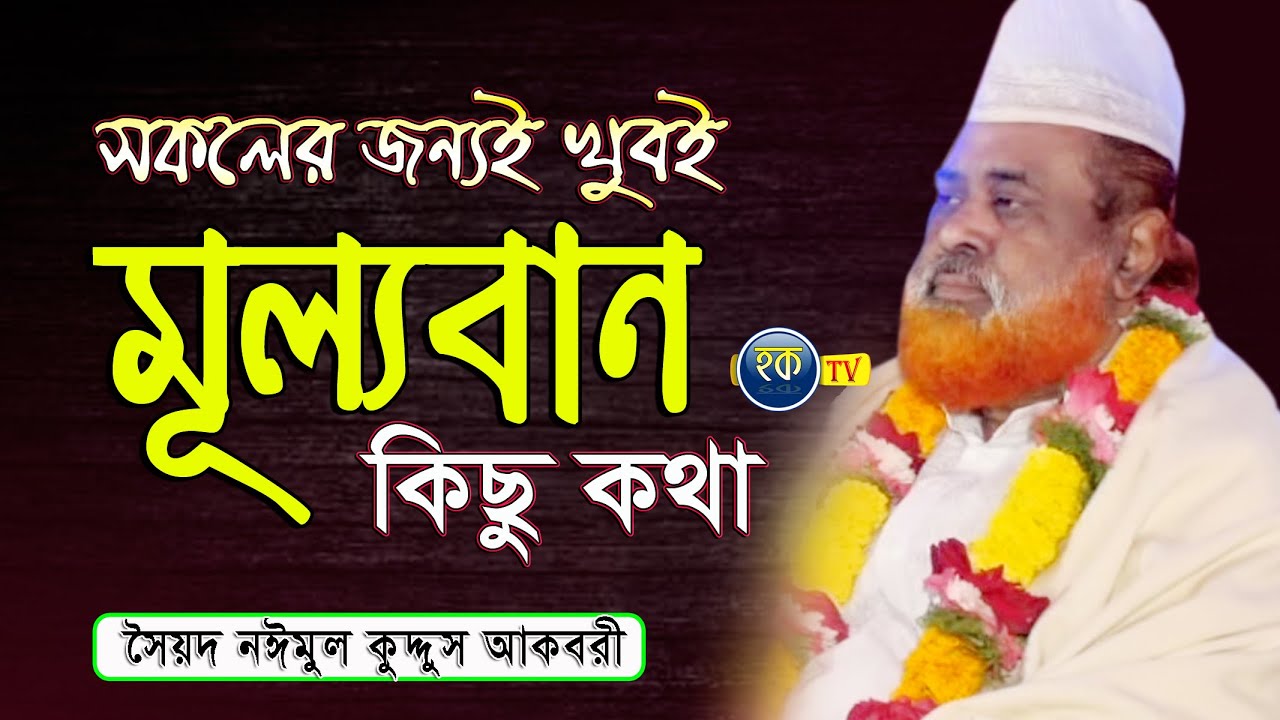 এই কথাগুরো শুনুন,মুক্তার চেয়েও অনেক দামী | সৈয়দ নঈমুল কুদ্দুস আকবরী | Hoque tv