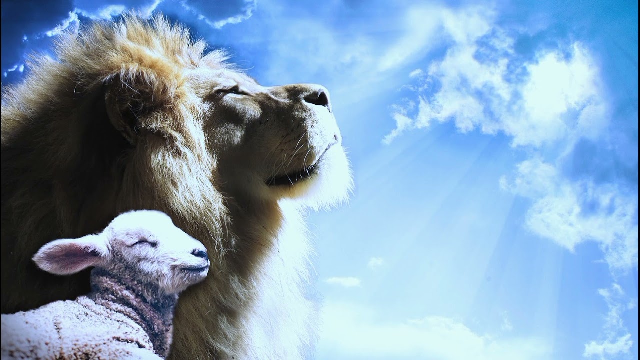 The Lion and The Lamb - Nightcore