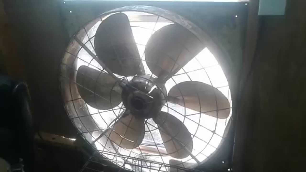 30