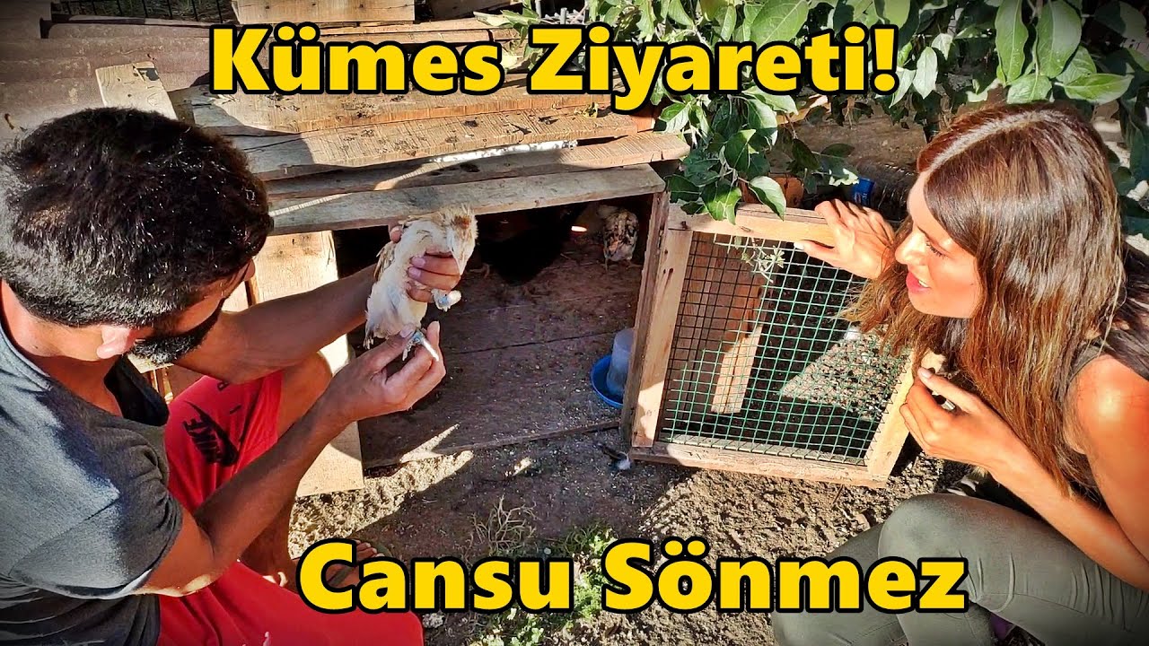 Cansu Sönmez'in Kümesindeyiz!-Kümes Ziyaretleri!#Tekirdağ#civciv#tavuk#gurk#Hindi#ördek#kaz
