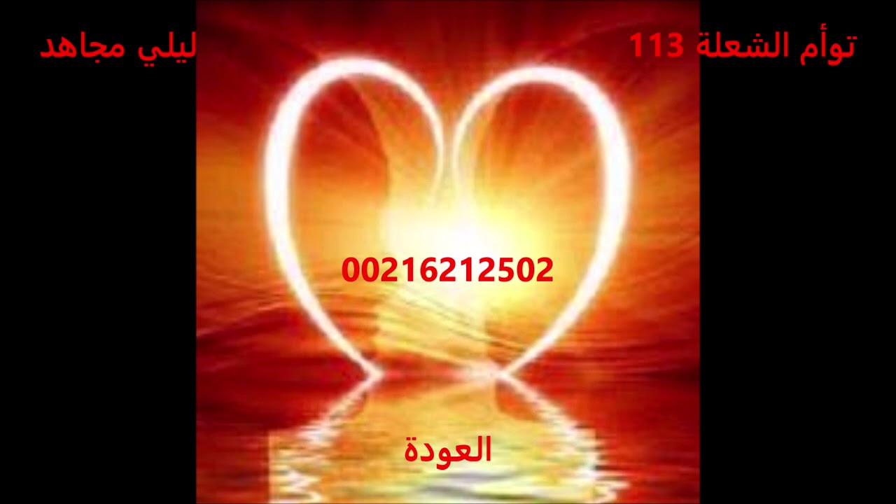 توأم الشعلة 113   ----   العودة