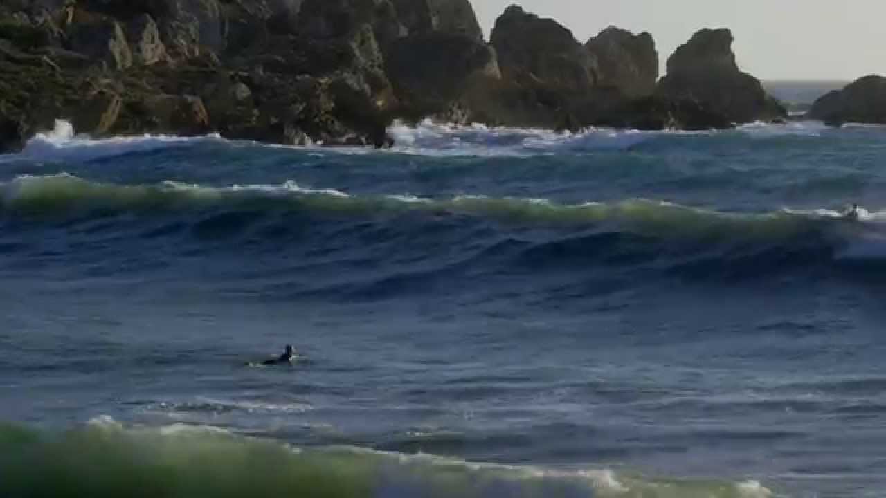 SURF MALTA