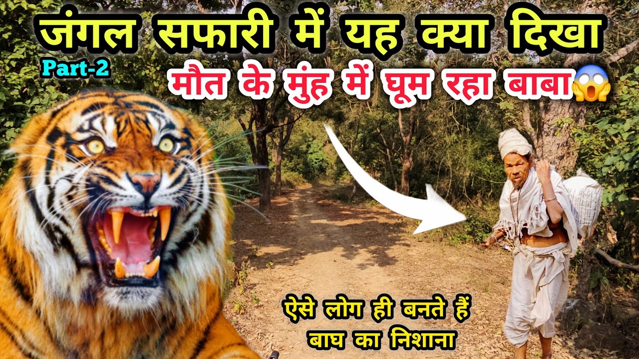 बाघों के इलाके में क्या कर रहे हैं बाबा❓️ | Jungle Safari Koluchaur | Koluchaur Forest Rest House