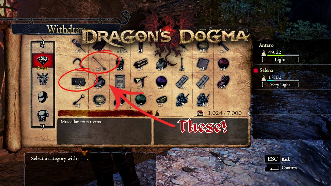 Dragon's dogma Items you didn't know you wanted.