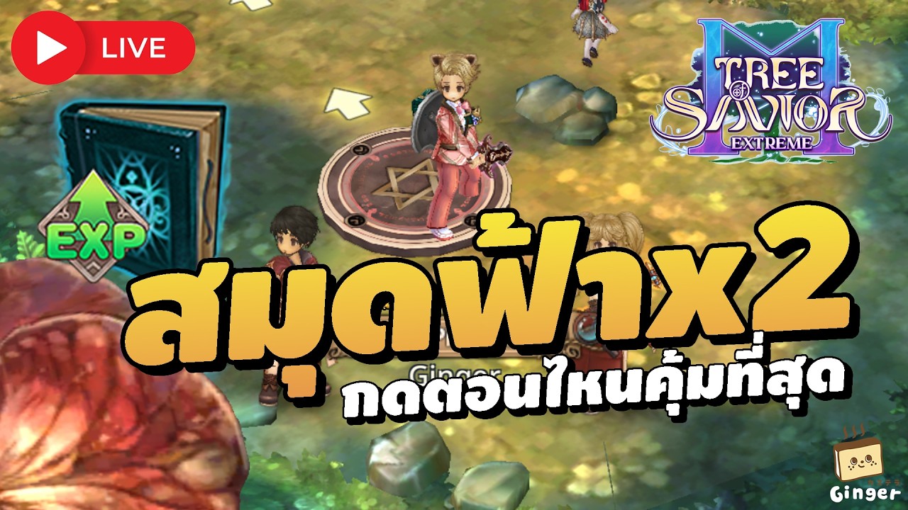 🔴 ลุยวันที่ 3 เลเวล 74 สมุดฟ้า x2 กดตอนไหนคุ้มสุด? | Tree of Savior M
