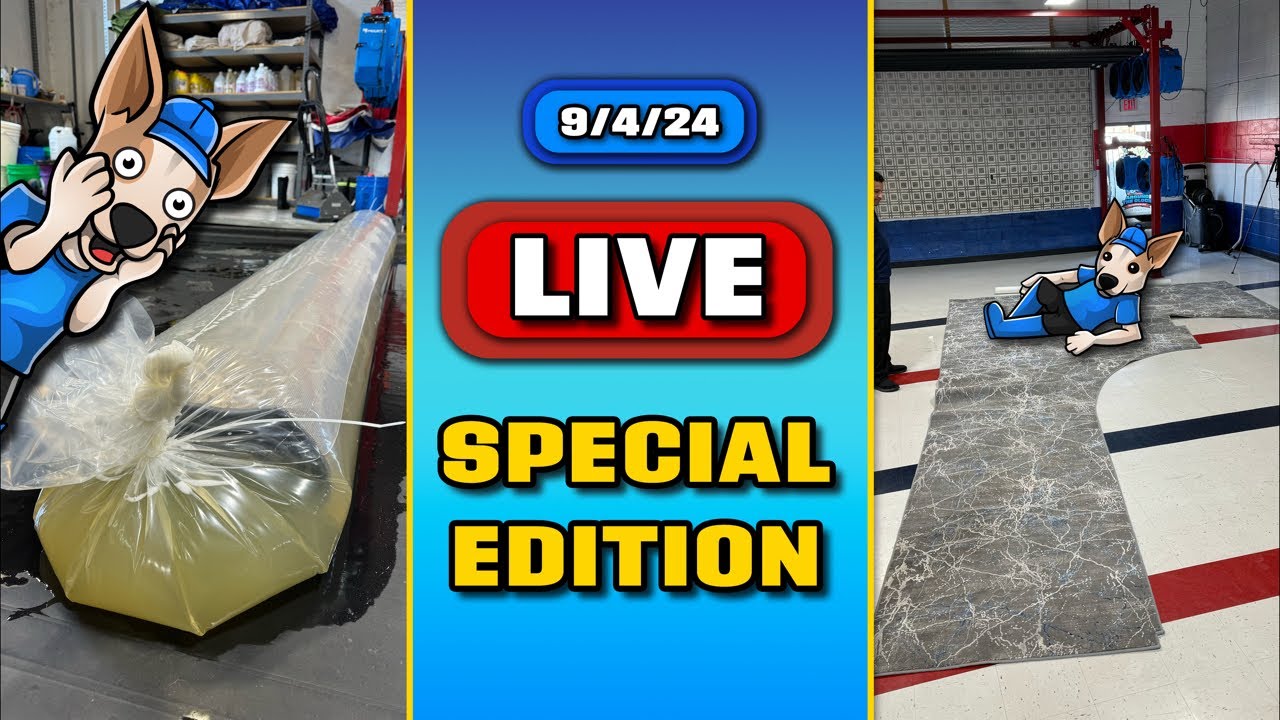 LIVE Rug Cleaning | SPECIAL EDITION! | Crazy Shaped Urine SOAKED Rug Washing