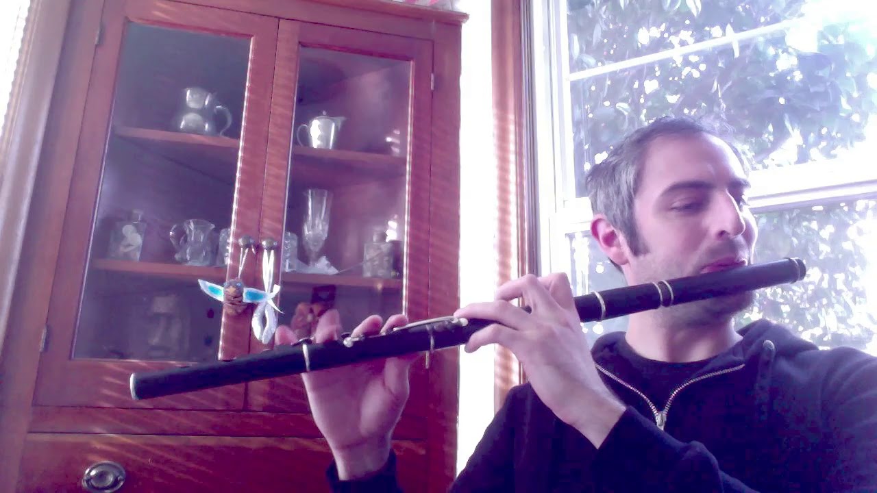 Humours of Ballyloughlin - Irish Flute - slow/fast