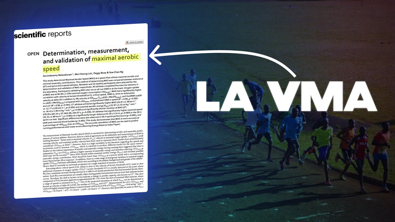Quelques reflexions sur la Vitesse Maximale Aérobie (VMA)...