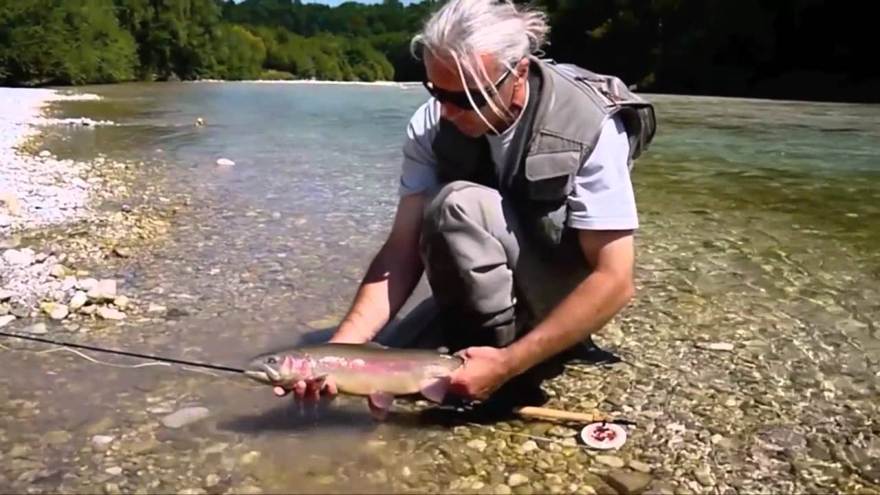 Fliegenfischen an der Alm