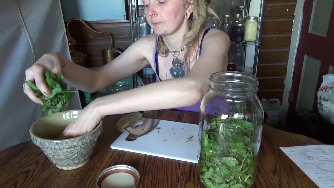 How to make Lemon Balm tincture