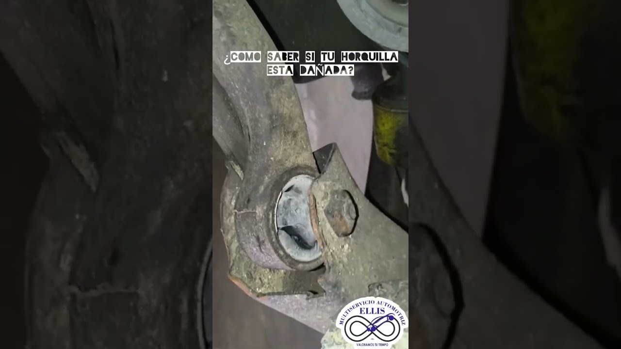 ¿COMO SABER SI TU HORQUILLA ESTA DAÑADA? #Rotula #Horquilla #Direccion #Suspencion
