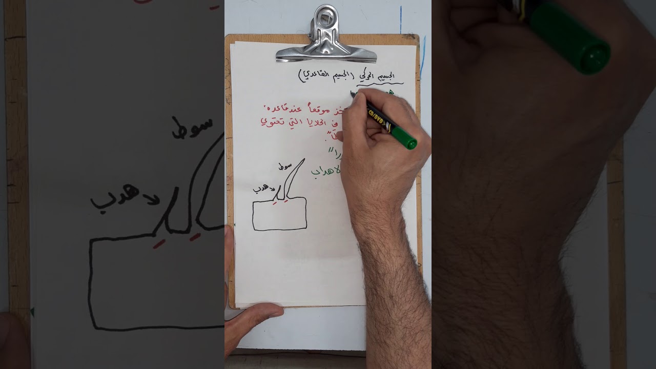 الجسيم الحركي 18