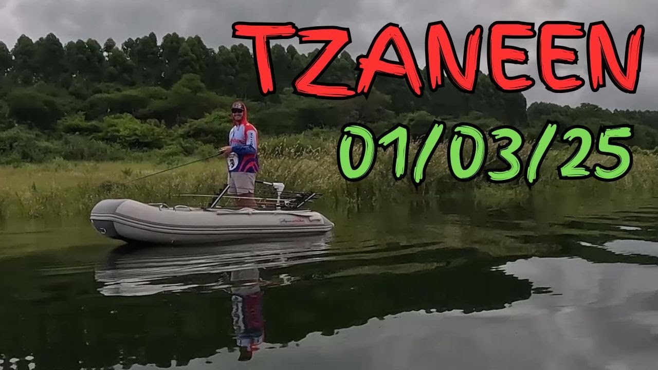 TZANEEN 01/03/25