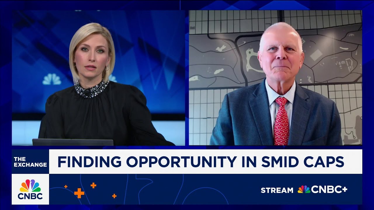 Ongoing stock selection opportunities within small and mid cap stocks, says Citi's Scott Chronert