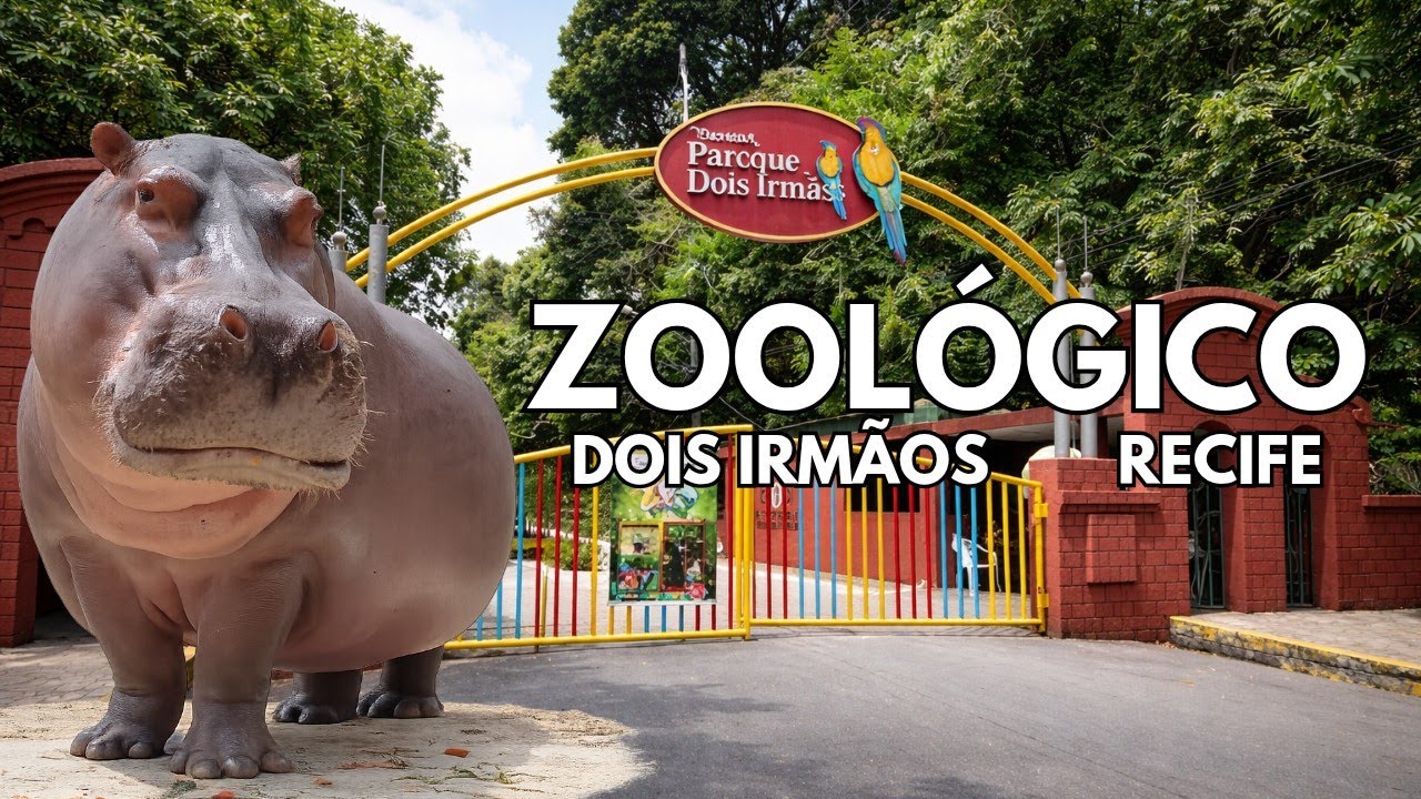Parque Dois Irmãos - Zoológico do RECIFE