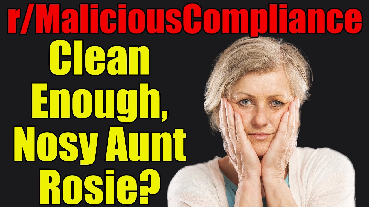 r/MaliciousCompliance - Clean Enough, Nosy Aunt Rosie? - #467