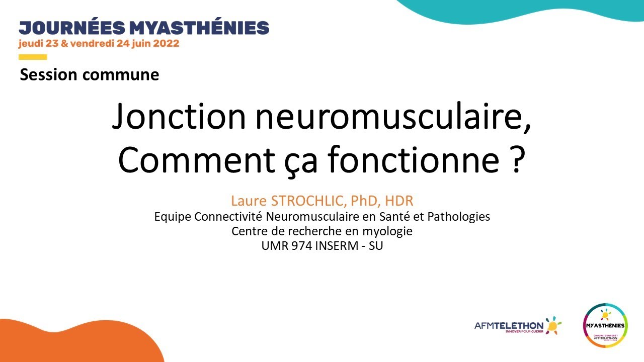 Syndromes myasthéniques : jonction neuromusculaire, comment ça fonctionne ? | AFM-Téléthon