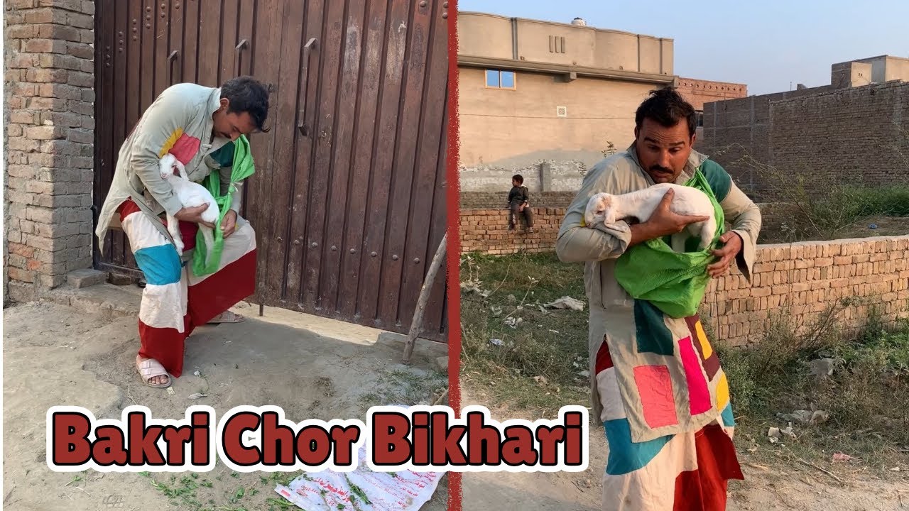 Bakri Chor Bikhari | BaggaFunnyTv